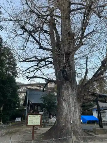新宮神社(広島県)
