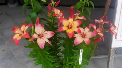 筥崎宮(福岡県)