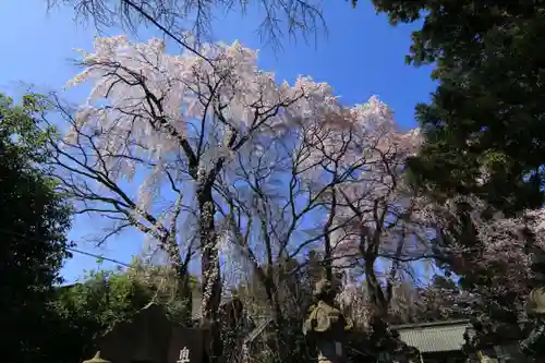 神炊館神社 ⁂奥州須賀川総鎮守⁂の庭園