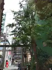 銀杏岡八幡神社(東京都)