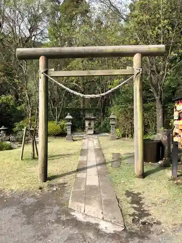 猫神社の鳥居