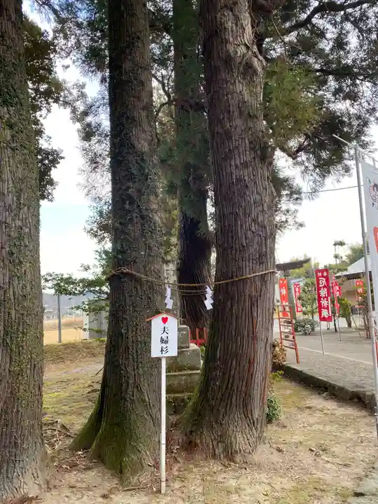 赤池神社(宮崎県)