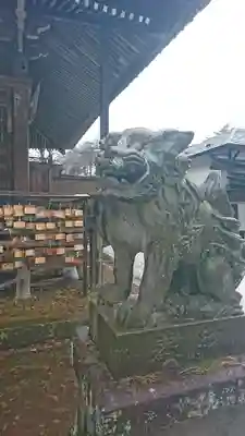 温泉神社の狛犬