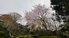 安楽寺(京都府)