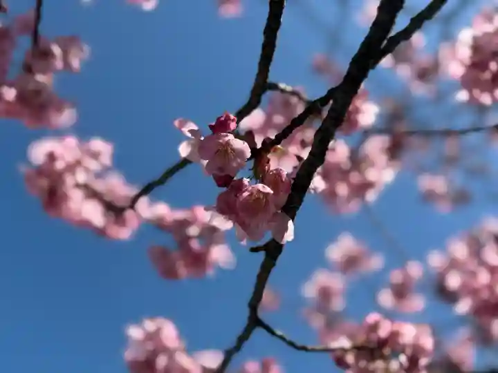 阿邪訶根神社の{uncategorized: "未分類", other: "その他", undefined: "問題あり", building: "その他建物", grave: "お墓", sacred_gate: "鳥居", guardian: "狛犬", statue: "像", buddha: "仏像", history: "歴史", nature: "自然", garden: "庭園", animal: "動物", pagoda: "塔", temizu: "手水舎", mountain_gate: "山門・神門", sanctuary: "本殿・本堂", subordinate: "末社・摂社", art: "芸術", scenery: "景色", jizo: "地蔵", ema: "絵馬", goshuin: "御朱印", omikuji: "おみくじ", items: "授与品その他", amulet: "お守り", goshuincho: "御朱印帳", eats: "食事", festival: "お祭り", votive_dance: "神楽", shichigosan: "七五三参", wedding: "結婚式", experience: "体験その他", initially: "初詣", around: "周辺", anti_infection: "感染症対策"}