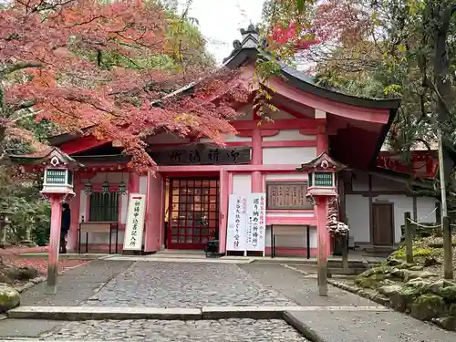 春日大社(奈良県)