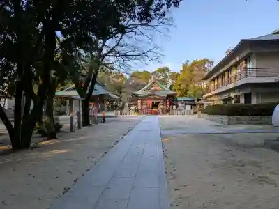 服部住吉神社の{uncategorized: "未分類", other: "その他", undefined: "問題あり", building: "その他建物", grave: "お墓", sacred_gate: "鳥居", guardian: "狛犬", statue: "像", buddha: "仏像", history: "歴史", nature: "自然", garden: "庭園", animal: "動物", pagoda: "塔", temizu: "手水舎", mountain_gate: "山門・神門", sanctuary: "本殿・本堂", subordinate: "末社・摂社", art: "芸術", scenery: "景色", jizo: "地蔵", ema: "絵馬", goshuin: "御朱印", omikuji: "おみくじ", items: "授与品その他", amulet: "お守り", goshuincho: "御朱印帳", eats: "食事", festival: "お祭り", votive_dance: "神楽", shichigosan: "七五三参", wedding: "結婚式", experience: "体験その他", initially: "初詣", around: "周辺", anti_infection: "感染症対策"}