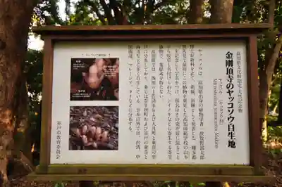 金剛頂寺(高知県)