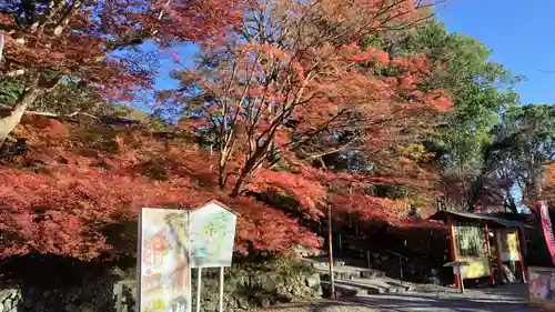 出雲大神宮の景色