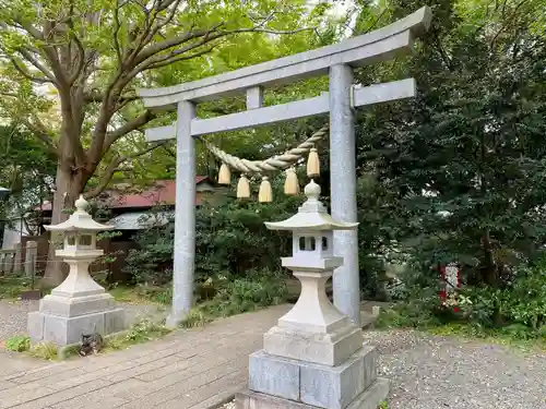 児玉神社の鳥居