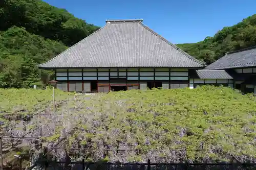 長泉寺の景色