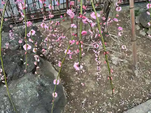 武蔵第六天神社(埼玉県)
