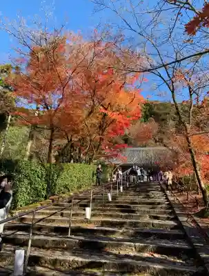 禅林寺（永観堂）の{uncategorized: "未分類", other: "その他", undefined: "問題あり", building: "その他建物", grave: "お墓", sacred_gate: "鳥居", guardian: "狛犬", statue: "像", buddha: "仏像", history: "歴史", nature: "自然", garden: "庭園", animal: "動物", pagoda: "塔", temizu: "手水舎", mountain_gate: "山門・神門", sanctuary: "本殿・本堂", subordinate: "末社・摂社", art: "芸術", scenery: "景色", jizo: "地蔵", ema: "絵馬", goshuin: "御朱印", omikuji: "おみくじ", items: "授与品その他", amulet: "お守り", goshuincho: "御朱印帳", eats: "食事", festival: "お祭り", votive_dance: "神楽", shichigosan: "七五三参", wedding: "結婚式", experience: "体験その他", initially: "初詣", around: "周辺", anti_infection: "感染症対策"}
