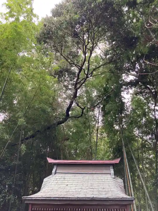 愛宕神社(茨城県)