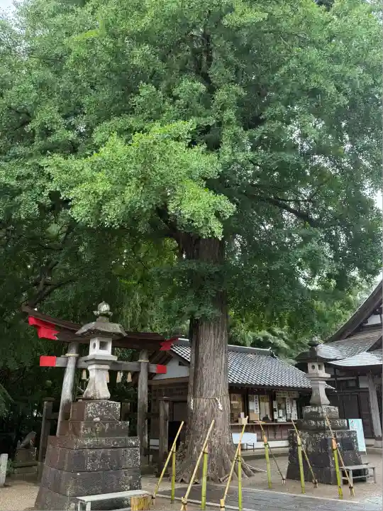 下総国三山 二宮神社(千葉県)