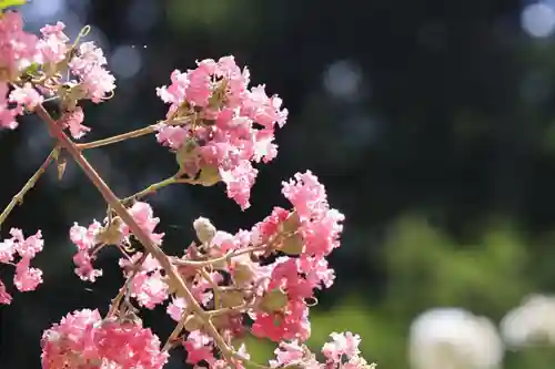 岩船寺(京都府)