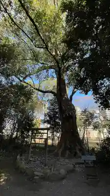 高座結御子神社（熱田神宮摂社）(愛知県)