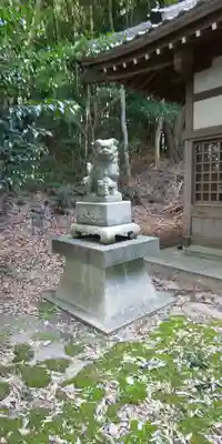 尾津神社の狛犬