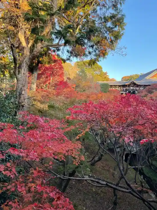 東福禅寺(東福寺)(京都府)