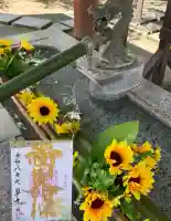 新田神社の御朱印