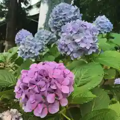 豊景神社の自然