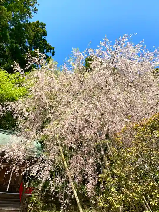 常宮神社(福井県)
