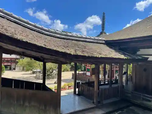 金剛寺(大阪府)
