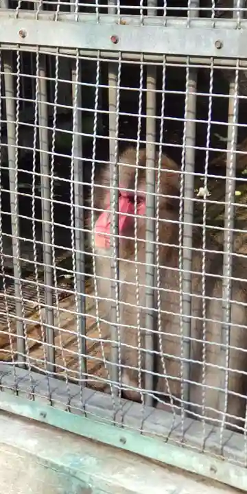 日吉大社(滋賀県)