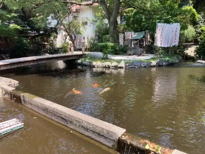 平塚八幡宮(神奈川県)