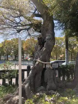 水堂須佐男神社(兵庫県)