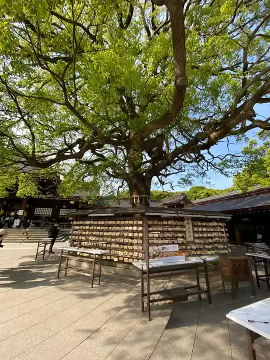 明治神宮(東京都)