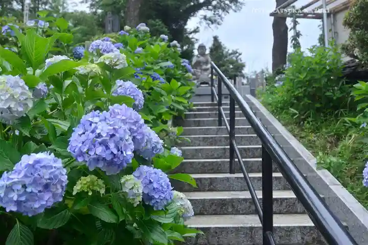 妙楽寺(神奈川県)