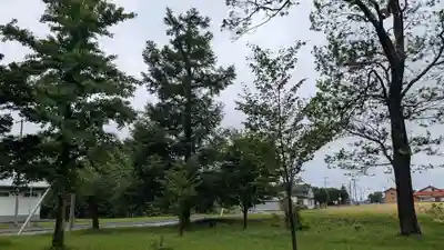 有明八幡神社の自然