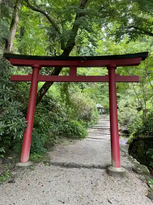 岡寺(龍蓋寺)(奈良県)