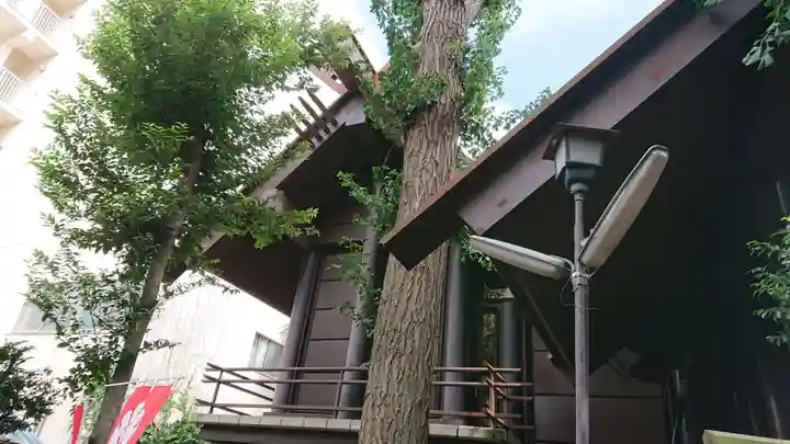 高円寺氷川神社の本殿・本堂