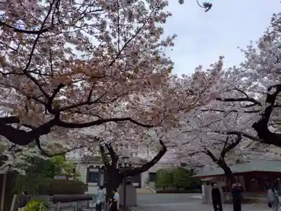 靖國神社(東京都)