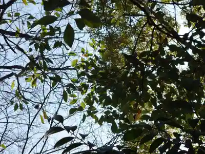 綱敷天満神社(兵庫県)