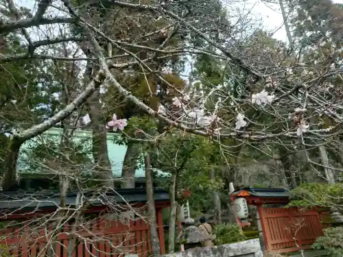 赤山禅院(京都府)