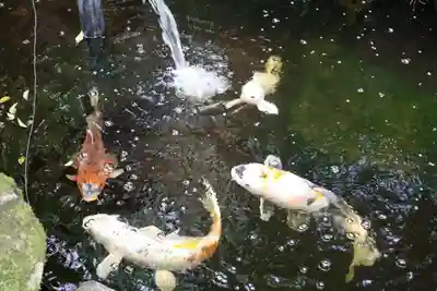 秩父御嶽神社(埼玉県)