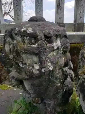 飛騨屋神明社の狛犬