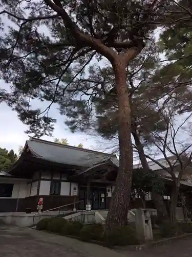 道場寺(東京都)