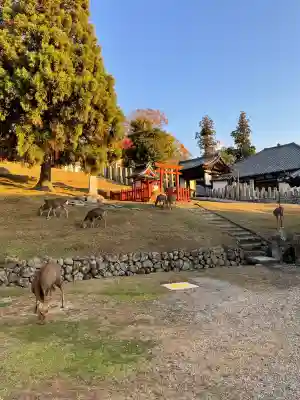 東大寺 二月堂の{uncategorized: "未分類", other: "その他", undefined: "問題あり", building: "その他建物", grave: "お墓", sacred_gate: "鳥居", guardian: "狛犬", statue: "像", buddha: "仏像", history: "歴史", nature: "自然", garden: "庭園", animal: "動物", pagoda: "塔", temizu: "手水舎", mountain_gate: "山門・神門", sanctuary: "本殿・本堂", subordinate: "末社・摂社", art: "芸術", scenery: "景色", jizo: "地蔵", ema: "絵馬", goshuin: "御朱印", omikuji: "おみくじ", items: "授与品その他", amulet: "お守り", goshuincho: "御朱印帳", eats: "食事", festival: "お祭り", votive_dance: "神楽", shichigosan: "七五三参", wedding: "結婚式", experience: "体験その他", initially: "初詣", around: "周辺", anti_infection: "感染症対策"}