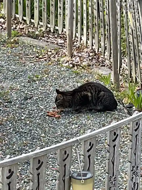 井際山 如意輪寺(愛知県)