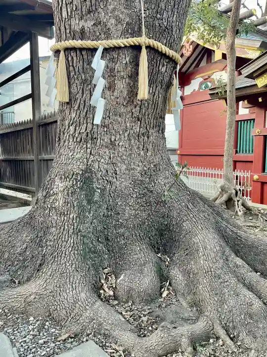 女塚神社の{uncategorized: "未分類", other: "その他", undefined: "問題あり", building: "その他建物", grave: "お墓", sacred_gate: "鳥居", guardian: "狛犬", statue: "像", buddha: "仏像", history: "歴史", nature: "自然", garden: "庭園", animal: "動物", pagoda: "塔", temizu: "手水舎", mountain_gate: "山門・神門", sanctuary: "本殿・本堂", subordinate: "末社・摂社", art: "芸術", scenery: "景色", jizo: "地蔵", ema: "絵馬", goshuin: "御朱印", omikuji: "おみくじ", items: "授与品その他", amulet: "お守り", goshuincho: "御朱印帳", eats: "食事", festival: "お祭り", votive_dance: "神楽", shichigosan: "七五三参", wedding: "結婚式", experience: "体験その他", initially: "初詣", around: "周辺", anti_infection: "感染症対策"}