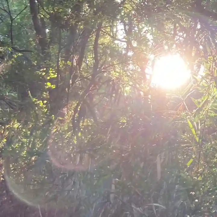 枚岡神社神津嶽本宮(大阪府)