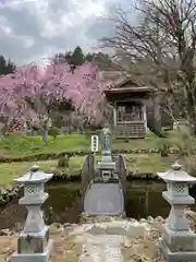 金剛寿院 (伝法寺)の仏像