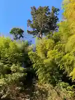 熊野神社(千葉県)