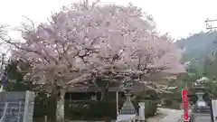 大豊神社の自然