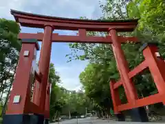 一之宮貫前神社(群馬県)