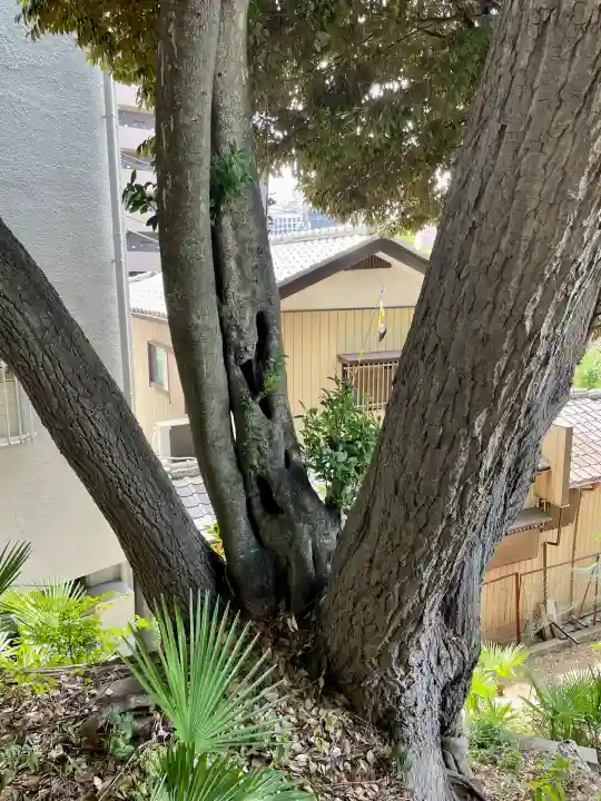 岩山稲荷神社(千葉県)